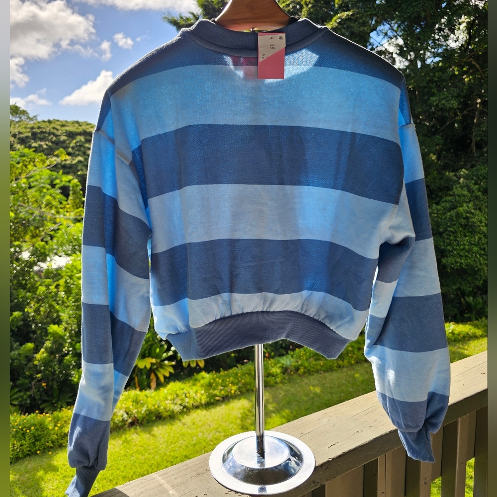 Strawberry Shortcake Cropped Fleece Graphic Sweatshirt -Striped Light Blue - Picture 5 of 12